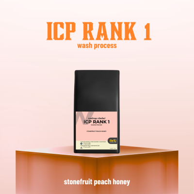 ICP RANK 1 ดอยช้างมูบ Wash process