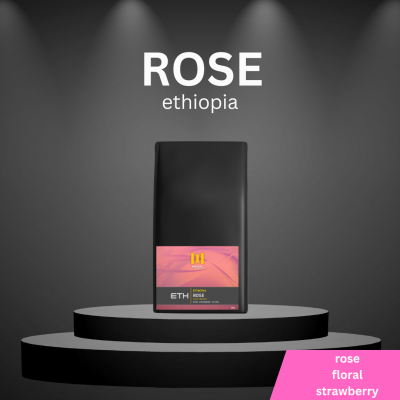 Ethiopia Rose