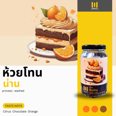 น่าน ห้วยโทน(wash)