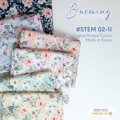 03#STEM02-11