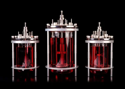 ถังปฏิกรณ์ชีวภาพ FerMac Bioreactor Vessels