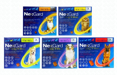 Nexgard Spectra เนกการ์ด สเปคตร้า มี 5 ขนาด กล่อง3เม็ด ของแท้