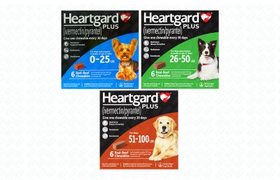 Heartgard Plus ฮาร์ทการ์ด พลัส ขนาด 1 กล่อง มี 6 เม็ด ของแท้