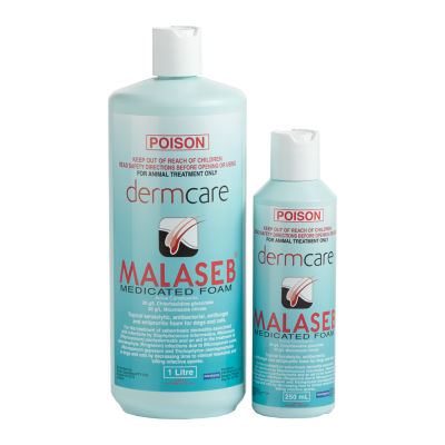 Malaseb Shampoo แชมพูยารักษาโรคผิวหนังในสุนัขและแมว ของแท้