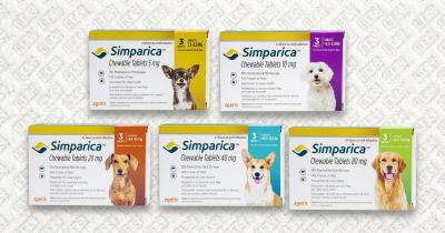 Simparica ซิมพาริกา สำหรับสุนัข แก้เห็บ หมัด ไรหู ขี้เรื้อน พยาธิภายใน กล่อง 3 เม็ด ของแท้