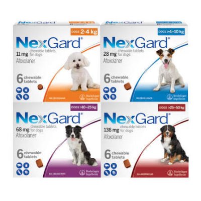 Nexgard เนกการ์ด มี 4 ขนาด กล่อง3เม็ด ของแท้