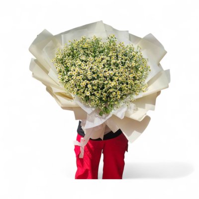 Daisy Flower Bouquet