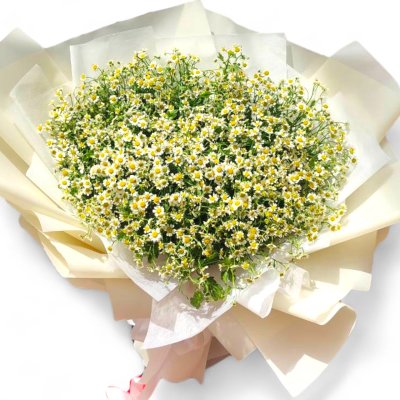 Daisy Flower Bouquet