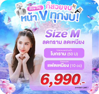 คอร์ส V Shape size L
