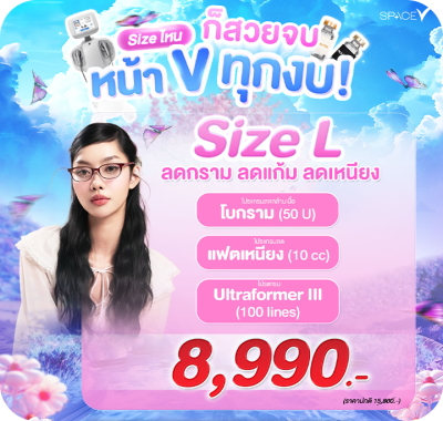 คอร์ส V Shape size L