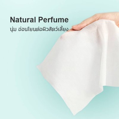 Pet Cleaning Wipes