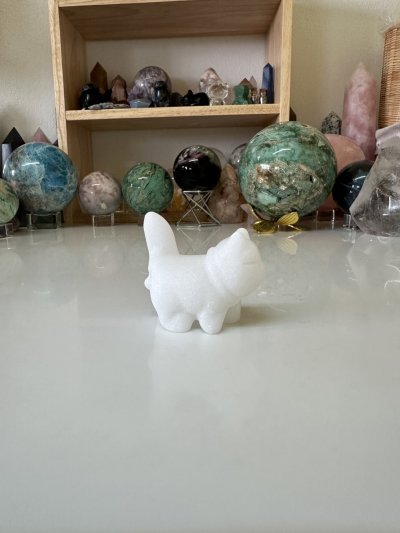 White Jade walking cat