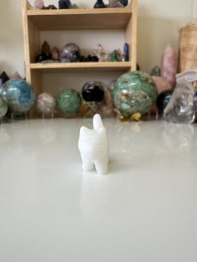 White Jade walking cat