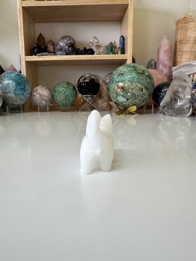 White Jade walking cat