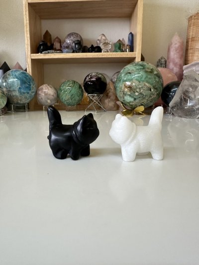 White Jade walking cat