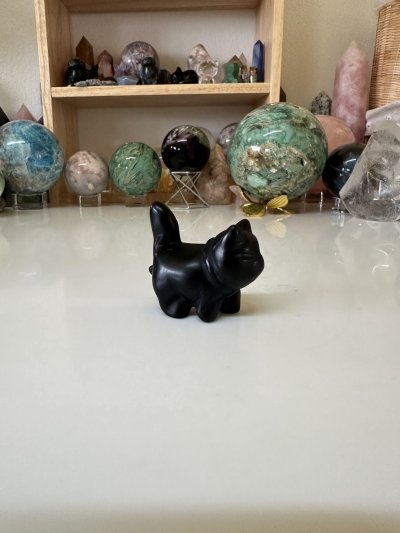 Obsidian walking cat