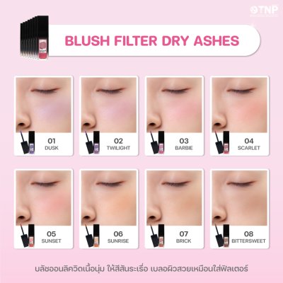 BLUSH FILTER DRY ASHES