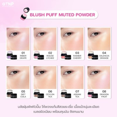 BLUSH PUFF MUTED POWDER