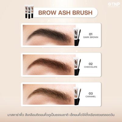 BROW ASH BRUSH
