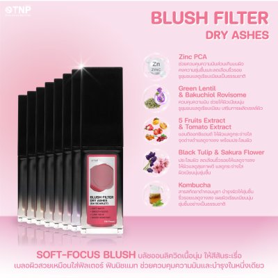 BLUSH FILTER DRY ASHES