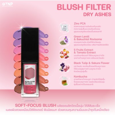 BLUSH FILTER DRY ASHES