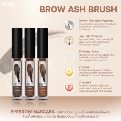 BROW ASH BRUSH