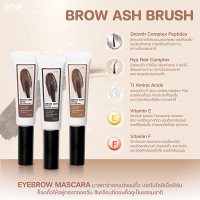 BROW ASH BRUSH