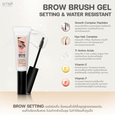 BROW BRUSH GEL SETTING & WATER RESISTANT