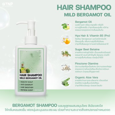 HAIR SHAMPOO MILD BERGAMOT OIL