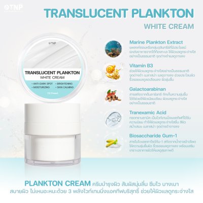 TRANSLUCENT PLANKTON WHITE CREAM