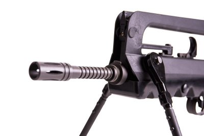 Northeast - FAMAS F1 ( GBBR )