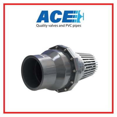 สวิงฟุตวาล์ว  6" ACE PVC FOOT VALVE