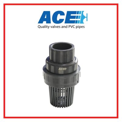 สวิงฟุตวาล์ว 3" ACE SWING FOOT VALVE