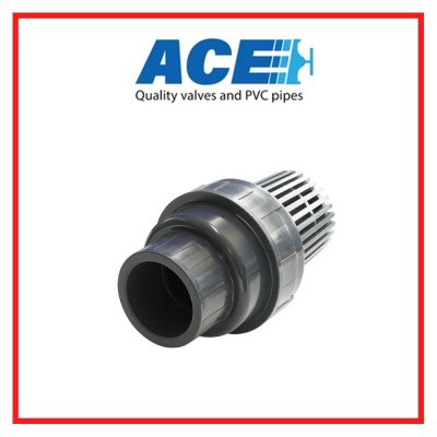 สวิงฟุตวาล์ว 3" ACE SWING FOOT VALVE
