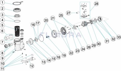 4405010717 Union Fittings for VICTORIA PLUS, VICTORIA SILEN PLUS Pump 3HP