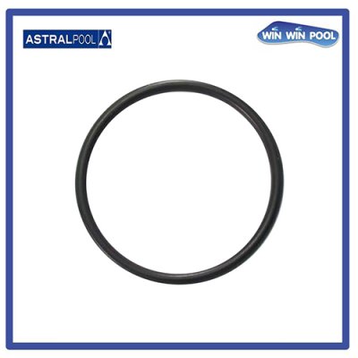 4405010373 O-Ring D192x5 for MAXIM Pump อะไหล่หมายเลข 4