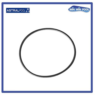 O' RING D 100X4 for MAXIM Pump
