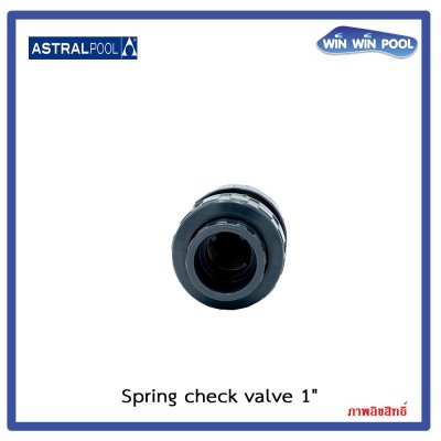 สปริงเช็ควาล์ว/ Astral pool /Cepex/Spring check valve 1''