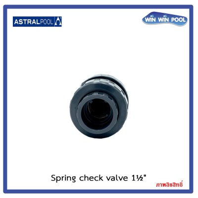 สปริงเช็ควาล์ว/Astral pool/Cepex / Spring Check Valve 1-1/2"
