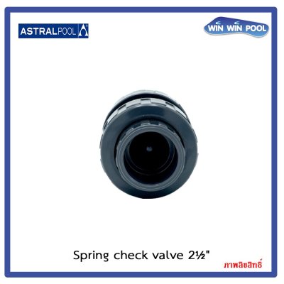 สปริงเช็ควาล์ว/Astral pool /Cepex/ Spring Check Valve/ 2-1/2"