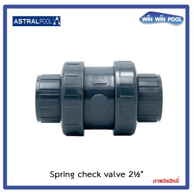 สปริงเช็ควาล์ว/Astral pool /Cepex/ Spring Check Valve/ 2-1/2"