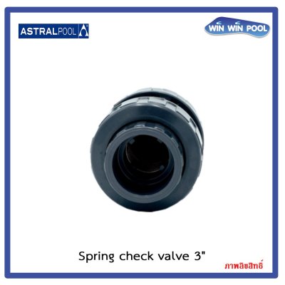 สปริงเช็ควาล์ว/Astral pool/ Cepex /Spring check valve/ 3"