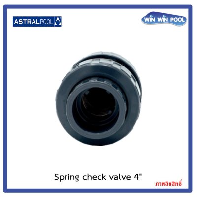 สปริงเช็ควาล์ว/Astral pool/Cepex/ Spring check valve / 4"