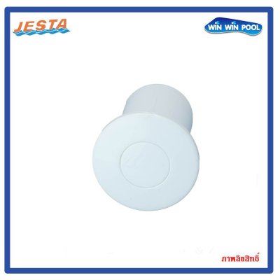 ลูกสูบลมสปา(ABS) ปุ่มเปิด-ปิด สำหรับควบคุมระบบสปา