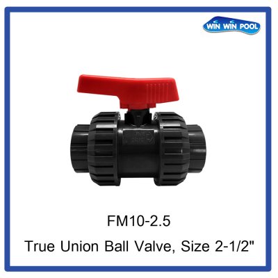 True Union Ball Valves, size 2-1/2”