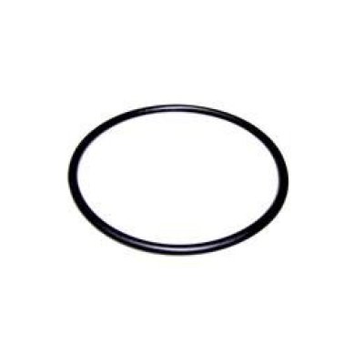 O' RING D 124X3,5 for MAXIM Pump อะไหล่หมายเลข11