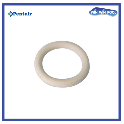 โอริงจุกอุดปั๊ม [Drain Plug O-Ring] for WhisperFlo XF