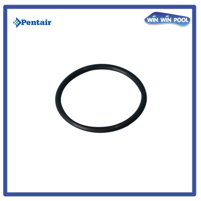 ซีลฝาครอบใบพัด [Diffuser Gasket] for WhisperFlo XF