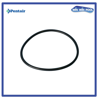 โอริงฝาปั๊ม [Strainer Cover O-Ring] for WhisperFlo XF