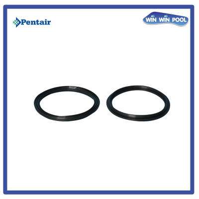 โอริงยูเนียนปั๊ม [Union O-Ring] for WhisperFlo XF